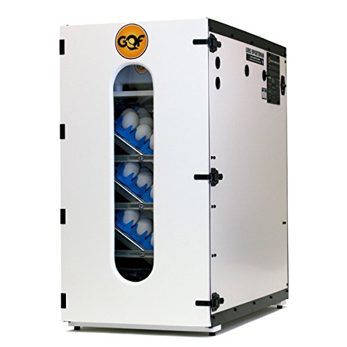 Best commercial incubator Digital Sportsman Cabinet Incubator 1502 review