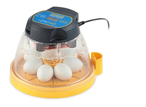 Quails Hatcher -Brinsea Products Mini II Advance Automatic 7 Egg Incubator review