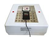 Farm Innovators 4250 Heated Digital Circulated Air Incubator (encubadora para huevos), with Automatic Egg Turner for Improved Egg Hatching, White