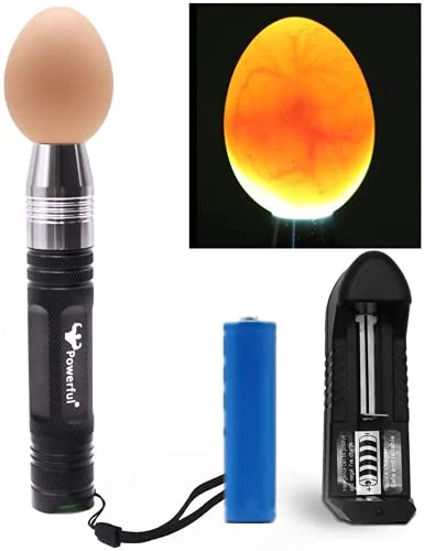 Best Egg Candler for Professionals