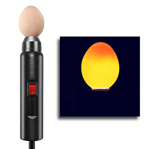 Egg Candler With LED