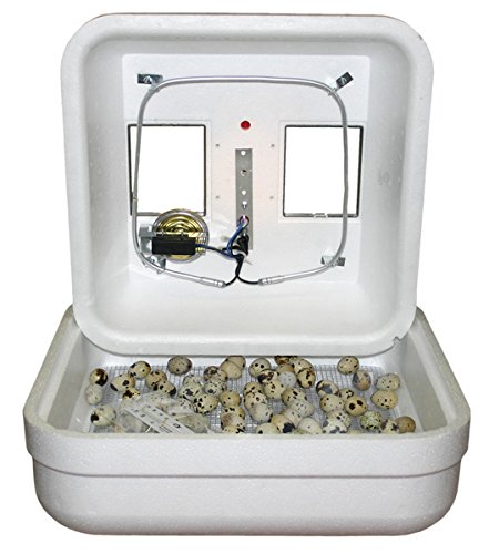 Top quails incubator GQF Thermal Air Hova-Bator buying guide
