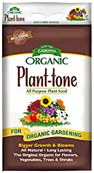 best plant tone for growing healthy boxwood