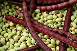 Southern Peas