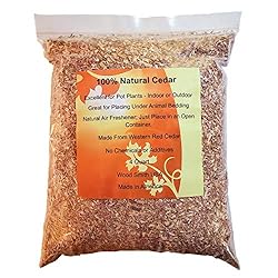 Natural Cedar Chips Mulch for Blueberries
