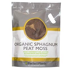 Organic Sphagnum Peat Moss for Perfect Mulching