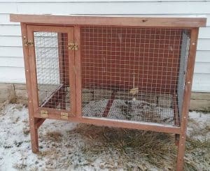 Cages for Broiler Quail raising