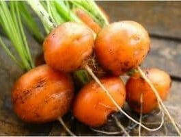 round types carrots