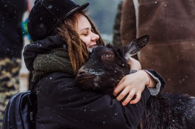 keeping goats warm in cold weather
