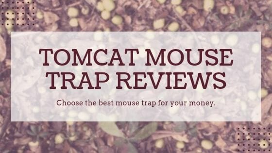 Tomcat mouse trap reviews