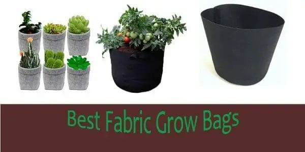 Best Fabric Grow Pots 2020
