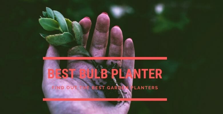 Best Bulb Planters