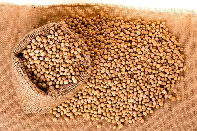 soy beans or soybeans