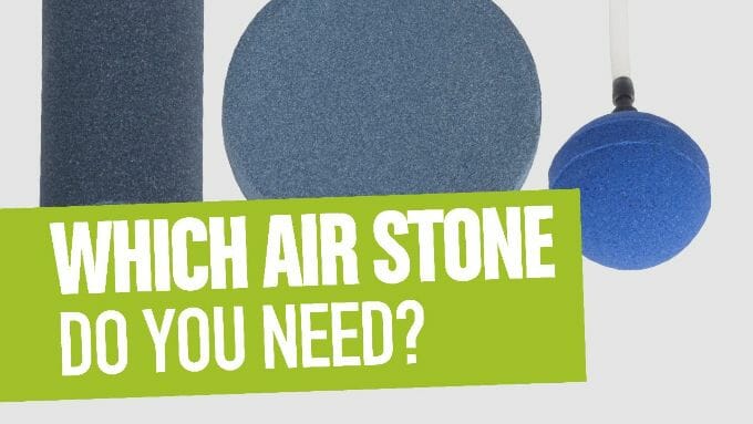 Best Airstones for DWC