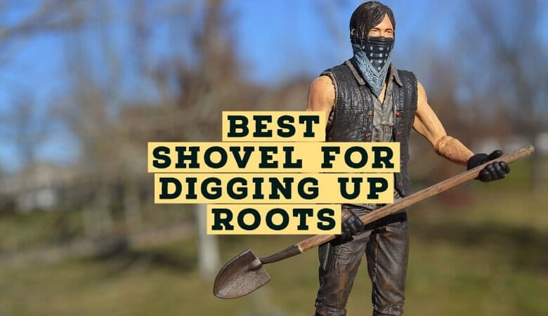 Best Shovel for Digging Up Roots