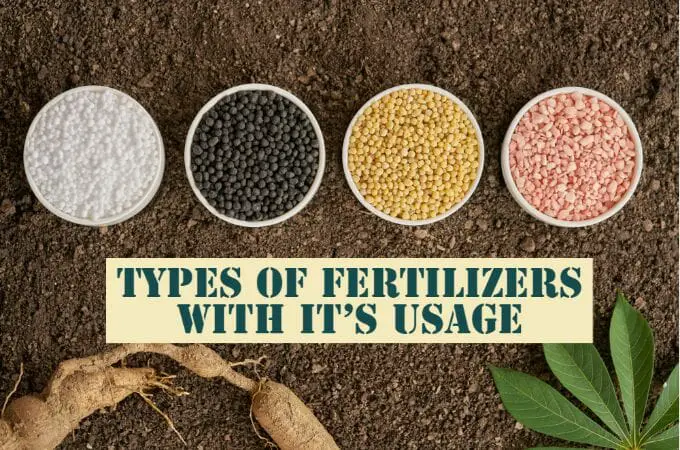 List of Different Types of Fertilizers