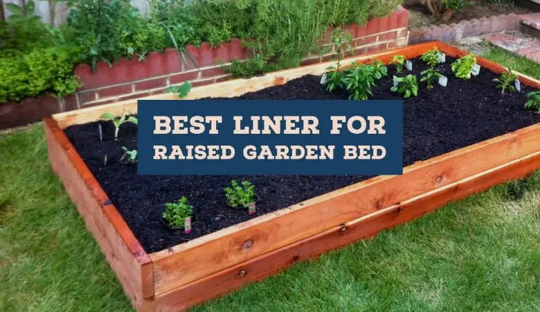 Best Liner for Raised Garden Bed