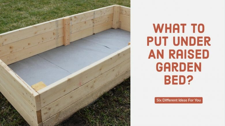 What To Put Under A Raided Garden Bed