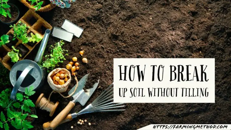 break up soil without tilling