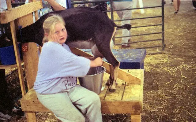 How Do I Get Goats to Produce Milk?