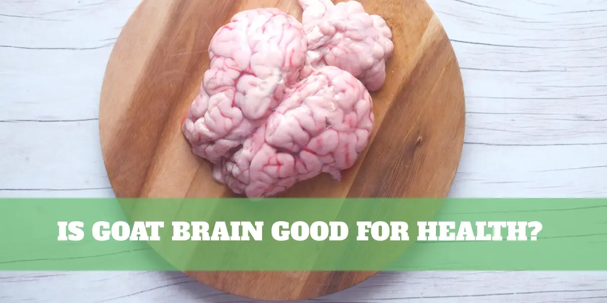 Goat brain as human food